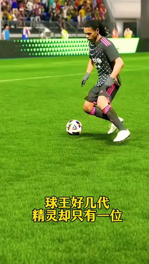 我们将详细