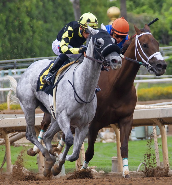 分点和防守 分点和防守