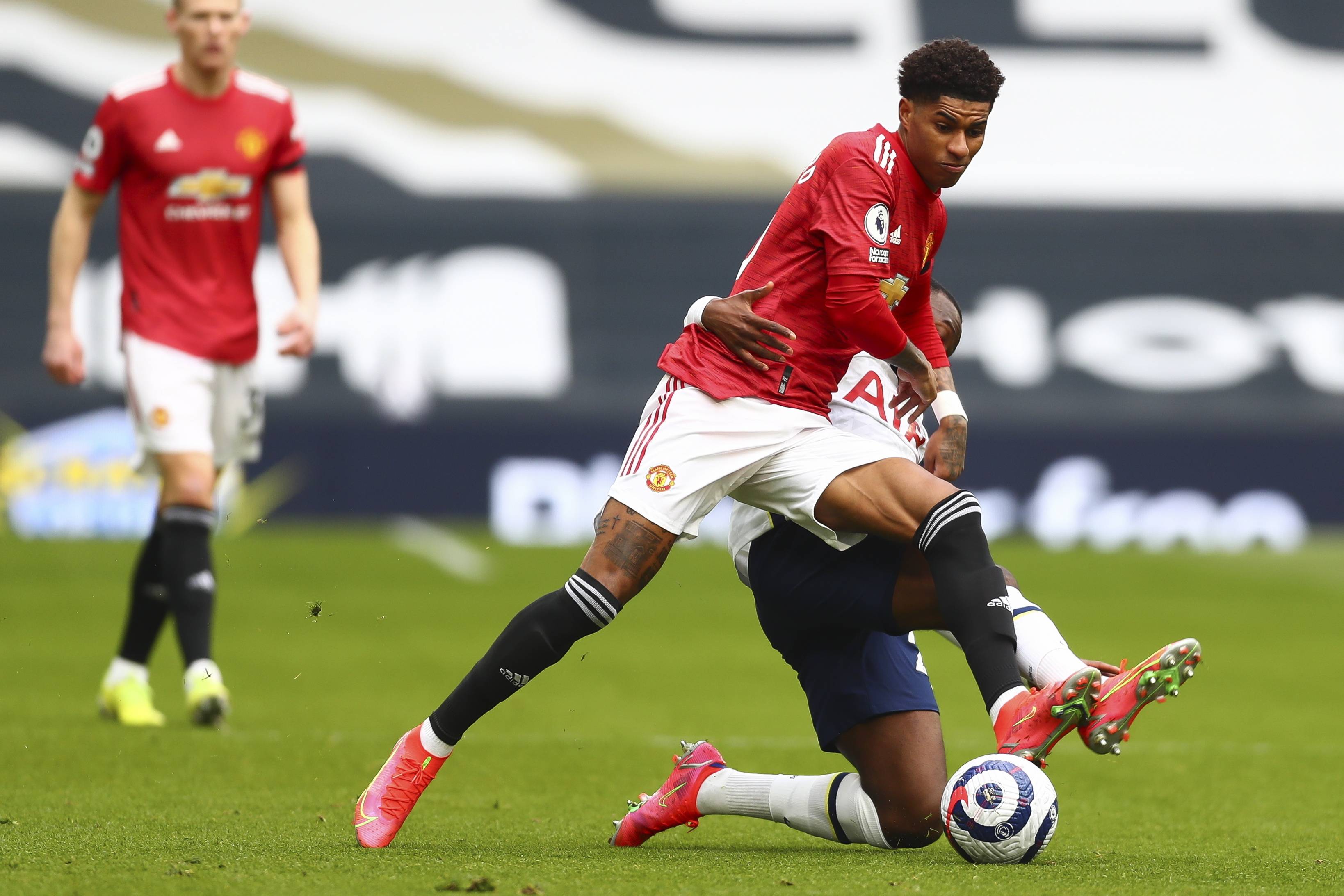 多样化的选 多样化的选